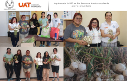 Implementa la UAT en Río Bravo un huerto escolar