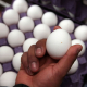 Ante escasez, EU importará productos de huevo de Holanda