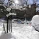 Suman 29 los muertos por tormenta de nieve en EU