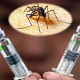 Vacuna contra el dengue, ya es oficial