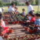 En Reynosa Contribuye Dirección del Medio Ambiente a la educación ecológica