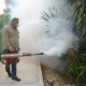 Inicia Gobierno de Tamaulipas plan intensivo de combate al dengue.