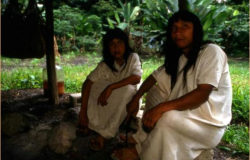 Ley de Hidrocarburos protege a pueblos indígenas: Segob