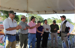 Abre altas expectativas en Tamaulipas la  temporada de caza de Paloma Ala Blanca