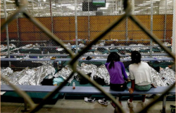 Senadores piden a Obama esperar en tema de deportaciones