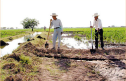 Apoya Tamaulipas a jornaleros agrícolas para trabajar en el extranjero