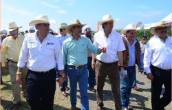 Congresistas de ganadería visitan campo de investigación