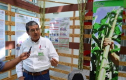 Reconoce INIFAP al Gobierno de Tamaulipas por Expo de Biotecnología