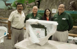 Apoya Tamaulipas protección de jaguar