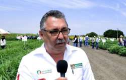 Recibirán beneficios productores rurales de Tamaulipas