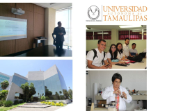 Invita UAT a cursar Doctorado en Gestión y Transferencia del Conocimiento