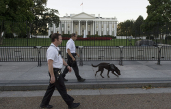 Incidente de seguridad obliga al cierre temporal de la Casa Blanca