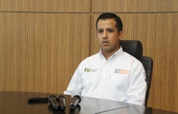 Desarrolla UAT proyecto para detonar producción de girasol en Tamaulipas.