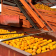 Continua producción citrícola en la zona centro de Tamaulipas