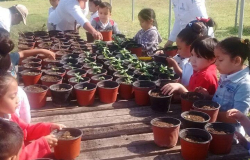 En Reynosa Contribuye Dirección del Medio Ambiente a la educación ecológica
