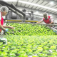 Crecen 11.2% exportaciones agroalimentarias a Canadá