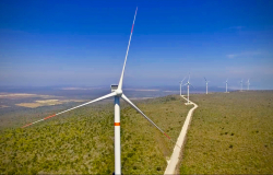 Tamaulipas contará con el parque eólico más grande de México