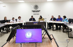 Buscan Diputados sustentar legalmente la producción   y venta de cerveza artesanal en Tamaulipas