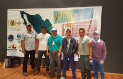 Asiste Tamaulipas a reunión nacional sobre Tortugas Marinas.