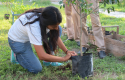 Se une Jóvenes Tamaulipas con actividades de reforestación en Reynosa