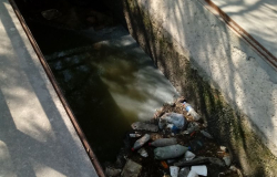 Urgente ya no tirar basura a vía pública, daña drenajes