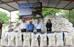 Con la entrega de fertilizante, Gobierno del Estado fortalece zona citrícola de Llera.