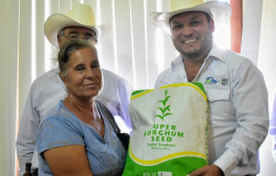 Agricultores de seis Distritos de Desarrollo Rural recibieron 11.7 ton de semilla de súper sorgo.