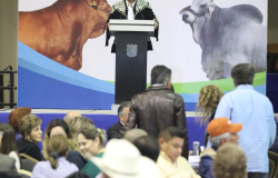Tamaulipas vuelve a reunir a ganaderos y agricultores del mundo.
