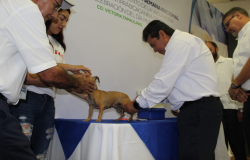 Inaugura Gobierno de Tamaulipas la Semana Nacional de Reforzamiento de Vacunación antirrábica.