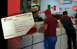 Variedad en las Carreteras de Tamaulipas: Un Vistazo Profundo al Registro Vehicular