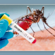Alerta en Tamaulipas por aparición del serotipo DEN-V4 del dengue