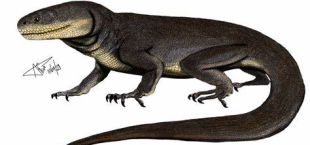 Explora el pasado prehistórico de Tamaulipas con Tamaulipasaurus
