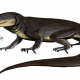 Explora el pasado prehistórico de Tamaulipas con Tamaulipasaurus