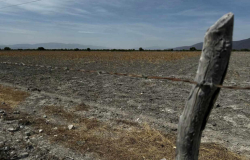 Tamaulipas activa semáforo rojo por escasez de agua en 29 municipios