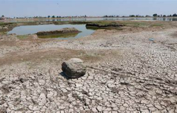 Tamaulipas entre estados con sequía severa:CONAGUA