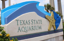 El acuario estatal de Texas llega a la comunidad hispana