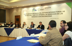 Propone SIPRODDIS estímulos fiscales a empleadores de personas con discapacidad.