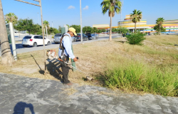 Mejorando la calidad de vida Gobierno de Carlos Peña Ortiz ejecuta obras en Reynosa