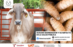 Dará la UAT conferencias sobre gusano barrenador y su impacto en la salud pública